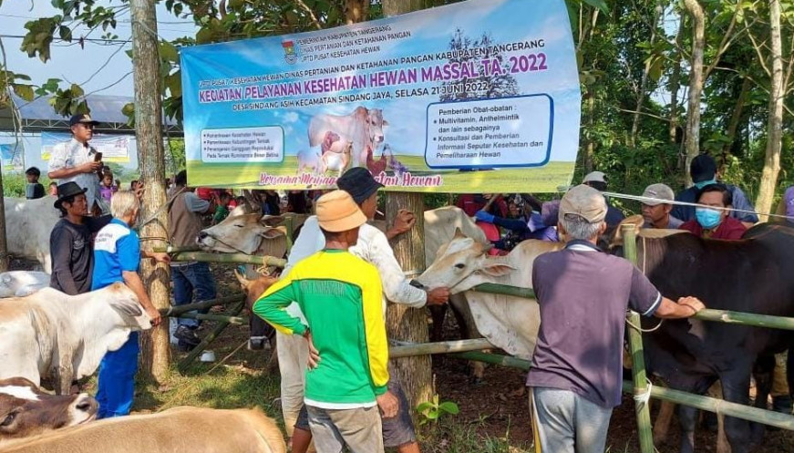 Puskeswan Kabupaten Tangerang Periksa 209 Hewan pada Pelayanan Kesehatan Massal